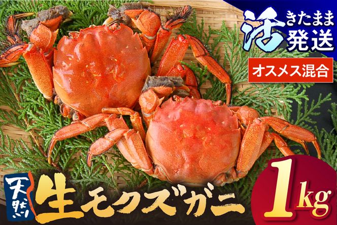 【天然 活生モクズガニ 約1kg 冷蔵】 国産 かに カニ 蟹 天然 活 生 モクズガニ もくずがに 川ガニ 川がに 人気 大人気 おすすめ 返礼品 ふるさと納税 兵庫県 香美町 香住 山米鮮魚 74-32