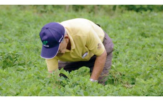 からいり 落花生 2種 3袋 詰合せ ( 化粧箱入 ) 野菜 豆 特産品 農園 自家栽培 ピーナッツ ピーナツ 源太豆 ふる里の味 おつまみ ビールのお供 国産 茨城 ギフト 贈答用 [AD013us]