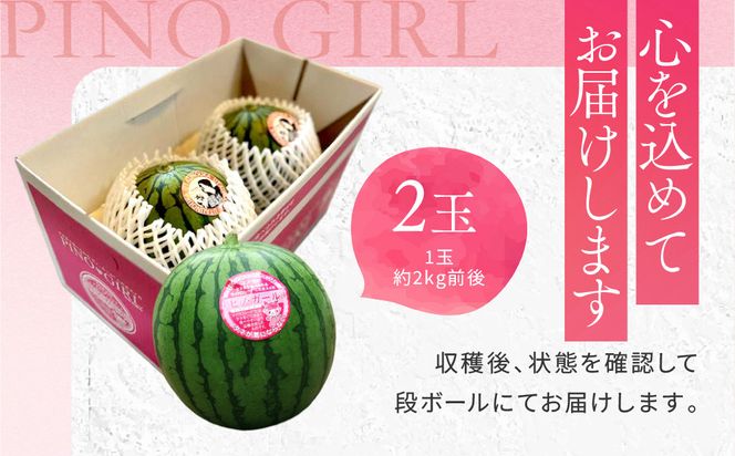 【先行予約】798.種ごと食べられる！小玉スイカ【ピノ・ガール】2玉（1玉2kg前後×2玉）※着日指定不可※離島への配送不可 313726_BQ007