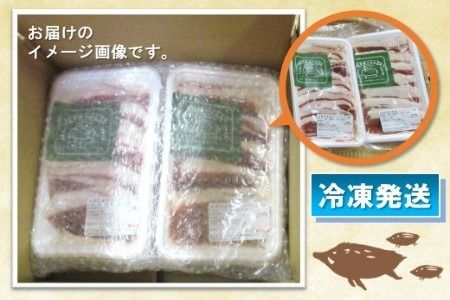 脊振ジビエ イノシシ肉スライスセット ロース＆バラ 約600g 【脊振 ジビエ イノシシ肉 ロース バラ】(H044123)