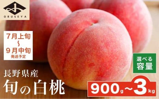 旬の白桃 約900g 約2kg 約3kg 選べる内容量 ［小布施屋］ 長野県産 白桃 もも モモ フルーツ 果物 期間限定 数量限定 長野県産 信州産 クール便 冷蔵便 たまき なつき あかつき 川中島白鳳 川中島白桃など 先行予約 2026 令和8年産 【2026年7月上旬～9月中旬発送】