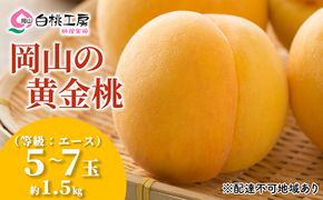 桃 2026年 先行予約 黄金桃 等級 エース 約1.5kg 5～7玉入り もも モモ 岡山 国産 フルーツ 果物 桃茂実苑 果肉 