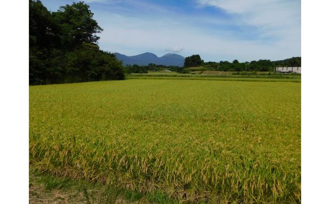 小諸 御牧ヶ原産 こしひかり 10kg　長野 信州 コシヒカリ 精米 美味しいお米 お取り寄せ おこめ 白米