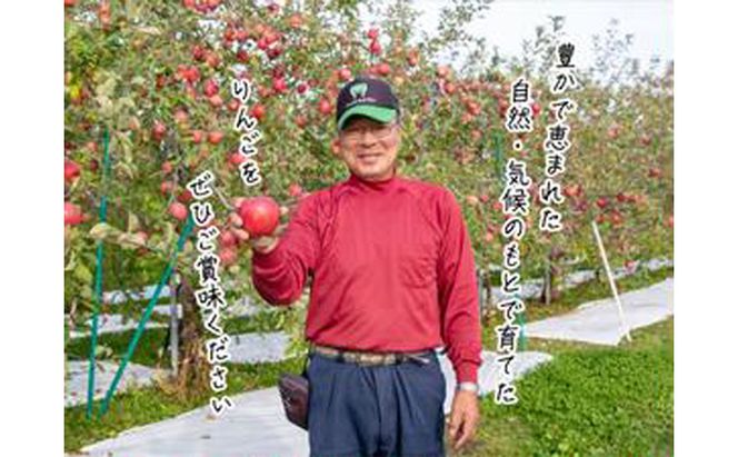 糖度13度以上 ヒバリノ園 【 紅虎 】 あどはだり 葉とらず サンふじ 約 5kg （14～18玉）青森県鰺ヶ沢町産りんご 果物類 フルーツ ※オンライン決済のみ 