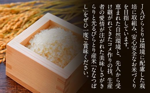 令和7年5月中旬～順次発送【数量限定 / 特別栽培米】北海道で１番人気！「ニシパの恋人」ななつぼし 5kg BRTH013