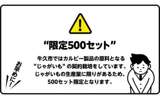 カルビー 堅あげポテト うすしお味 24袋 ( 2ケース ) 65g ポテチ お菓子 おかし 大量 スナック おつまみ ジャガイモ じゃがいも まとめ買い 数量限定 [DA015us]