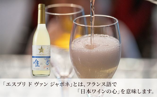 ワイン グランポレール エスプリ ド ヴァン ジャポネ 唯-YUI- 2本（1本 600ml）スパークリングワイン 中辛口 サッポロビール 岡山ワイナリー お酒 爽やかな酸味 やや辛口 飲みやすい 微発泡 