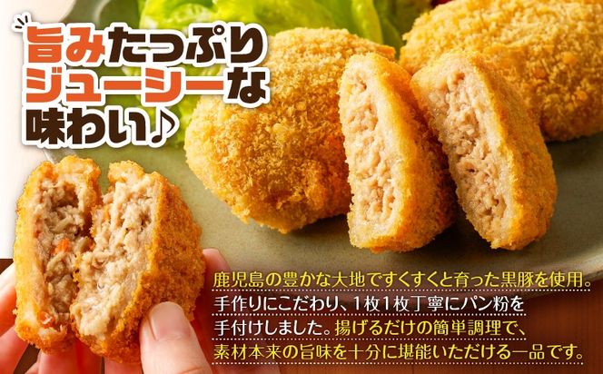 鹿児島県産黒豚入メンチカツ10枚パック　K219-004