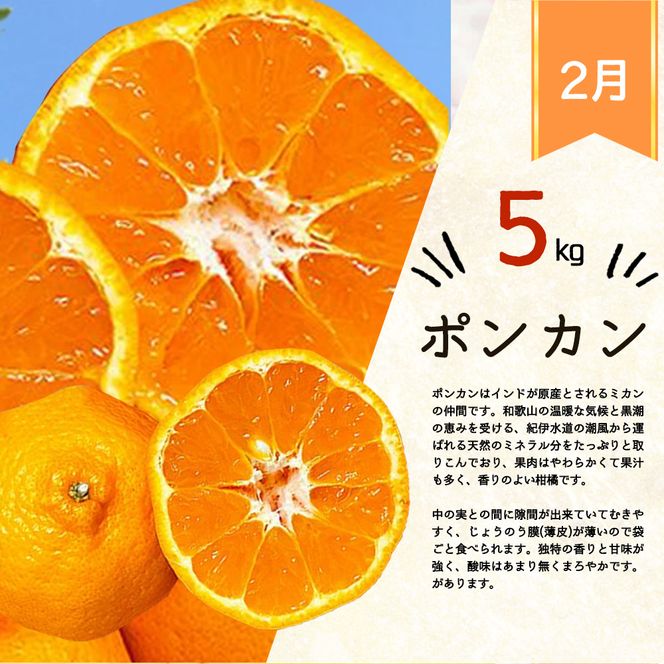 【定期便 全3回】紀州和歌山産旬の柑橘セット（みかん・ポンカン・レモン）_G60-T42