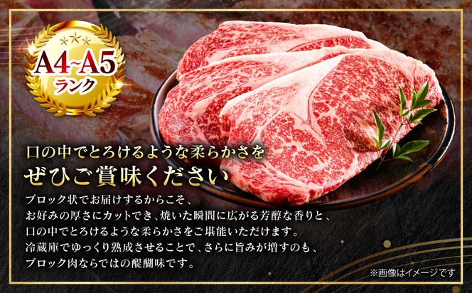 【A4～A5ランク】 くまもと黒毛和牛 ロース ブロック 約500g （約500g×1パック） 和牛 牛肉 お肉 ロース 黒毛和牛 冷凍 焼肉 BBQ おかず ギフト 熊本県 八代市
