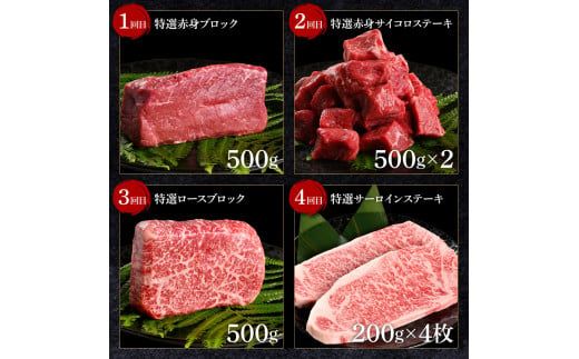 【CF-R7hbk】＜8ヶ月定期便＞ 土佐和牛詰め合わせ8種Bセット（合計6.3kg）6.3キロ 赤身ブロック サイコロステーキ ロース サーロイン カルビ スネ ヒレ ブロック肉 特選 赤身 牛肉 和牛 国産 熟成肉