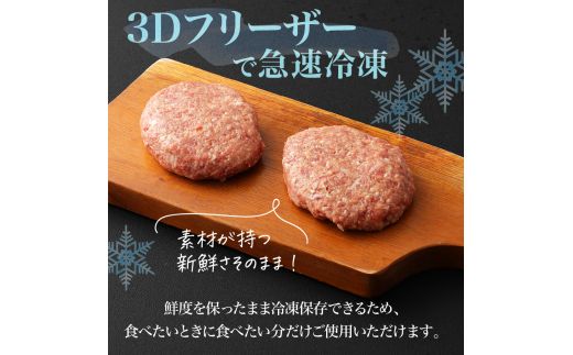 黒毛和牛 (博多和牛) 100%ハンバーグ130g×8個(ジャポネソース付)【伊豆丸商店】_HA0205