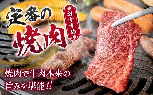 鹿児島県産黒毛和牛 おまかせ焼肉 600g　K002-046