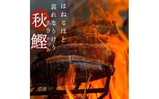 ～四国一小さなまち～ 特選わら焼き戻り鰹のタタキ 約450g×1節 ニンニク1玉・たれ・薬味付き カツオ かつお 鰹のたたき 鰹タタキ 刺身 つまみ お取り寄せ