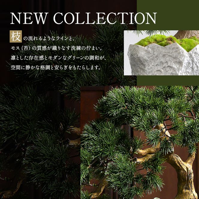 BONSAI  2L26-b TUTGA-81400