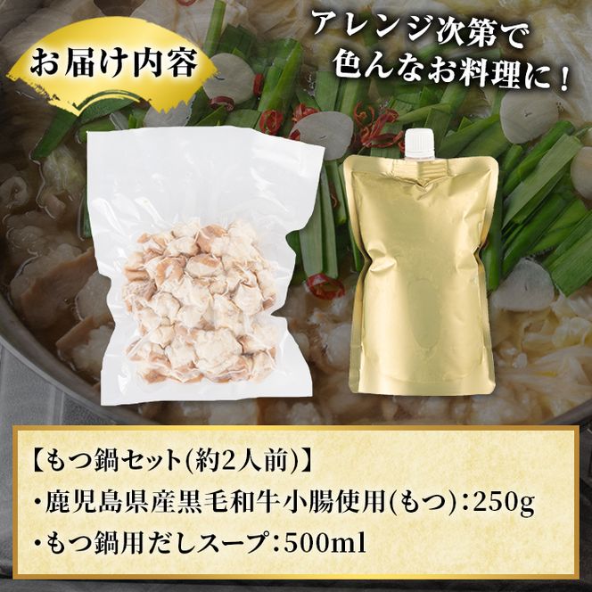 鹿児島県産黒毛和牛小腸使用！もつ鍋セット(約2人前分)国産 モツ モツ鍋 ホルモン 牛肉 出汁 醤油ベース 惣菜 おかず【和食処まきや】akn065-01