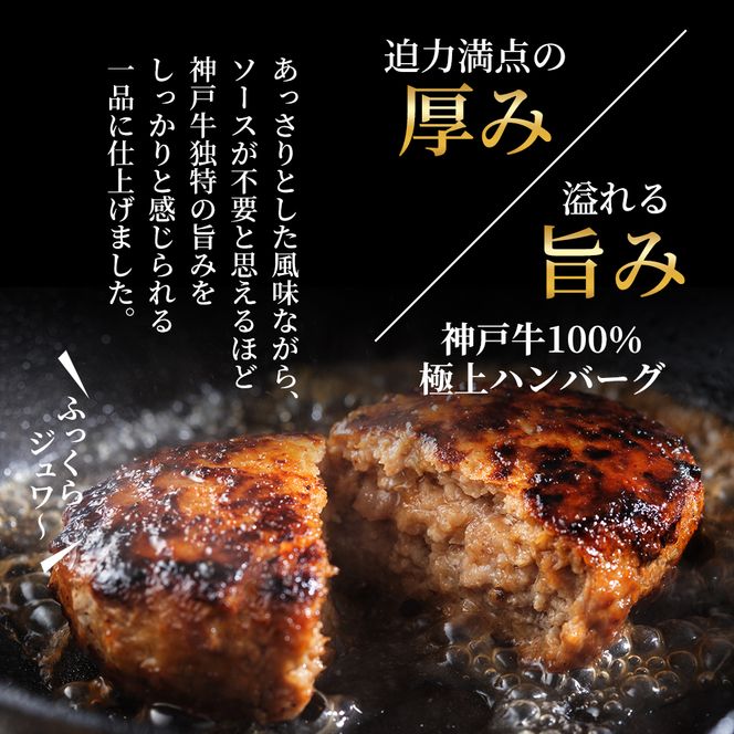 神戸牛 ハンバーグ 100g×10個 国産 牛肉 小分け