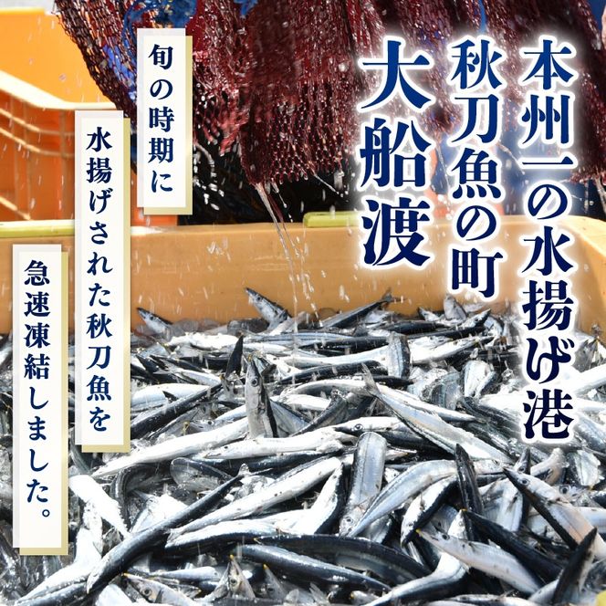 訳あり さんま 15尾 いか一夜干し 2尾 セット 冷凍 イカ 一夜干し 干物 秋刀魚 大船渡 鮮さんま 冷凍さんま 大船渡さんま 刺身 刺し身 お刺身 海鮮 sanma SANMA 鮮魚 ごはん 夕飯 おかず 米 丼 岩手 三陸 [maruwa021]