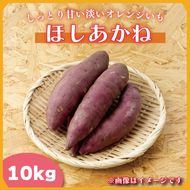 【2025年11月より順次発送】2025年度産 しっとり甘い淡いオレンジいも ほしあかね 約10kg｜さつまいも 芋 お芋 ほしあかね 渋谷農園 先行予約 茨城県 行方市(BZ-37)