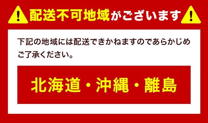新登場★ トウモロコシ 味来 【収穫後当日出荷！】 夏祭り 選べる 約5kg 約10kg 13本前後 26本前後 《6月中旬-7月中旬頃出荷予定》 茨城県 結城市 野菜 甘味が強い 柔らかい ジューシー フルーティー 夏野菜 コーン【配送不可地域あり】(北海道・沖縄・離島)---yuki_local_759_5kg---