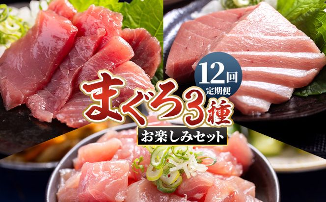 マグロ 定期便【12回定期便】〈月替わり〉まぐろ ３種 お楽しみセット - 定期便 国産 刺身スライス 柵 切り落とし 海鮮丼 漬け丼 煮物 鮪 マグロ カット済み 角切り Wnz-0119
