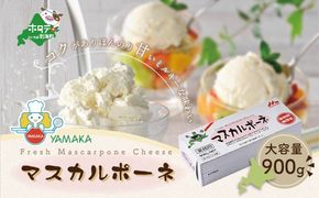 【森永乳業】業務用マスカルポーネ900g 【TY0000005】
