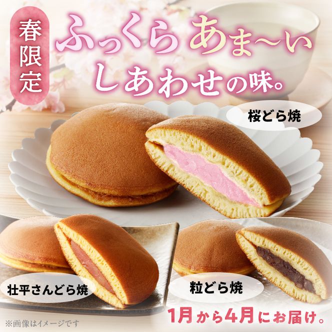 どら焼き　季節のセット ［009B14］ 和菓子 スイーツ デザート お取り寄せ 春セット 夏セット 秋セット 桜葉 レモンピール 栗きんとん りんご蜜漬 名古屋コーチン卵 備中白小豆 北海道産小豆 愛知県 小牧市 送料無料