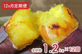 EY-40【12ヶ月定期便】熟成シルクスイート冷凍焼き芋約1kg+おまかせ品種さつまいも　合計約1.2kg