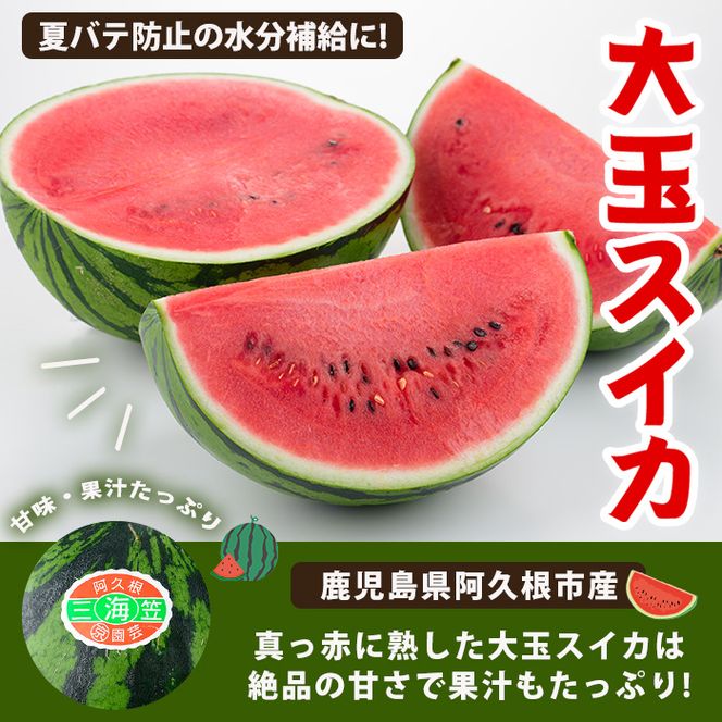 大玉スイカ(1玉・8kg以上) 国産 九州産 鹿児島産 すいか スイカ 西瓜 フルーツ 果物 デザート 夏 旬 水分補給 夏バテ予防 熱中症対策 【株式会社マキオ】akn068-04