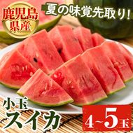 ＜先行予約受付中！2026年5月下旬以降順次発送予定＞鹿児島県産 小玉スイカ(4～5玉) 国産 果物 スイカ すいか 西瓜 フルーツ スイーツ スムージー ジュース 期間限定【松永青果】akn053-25