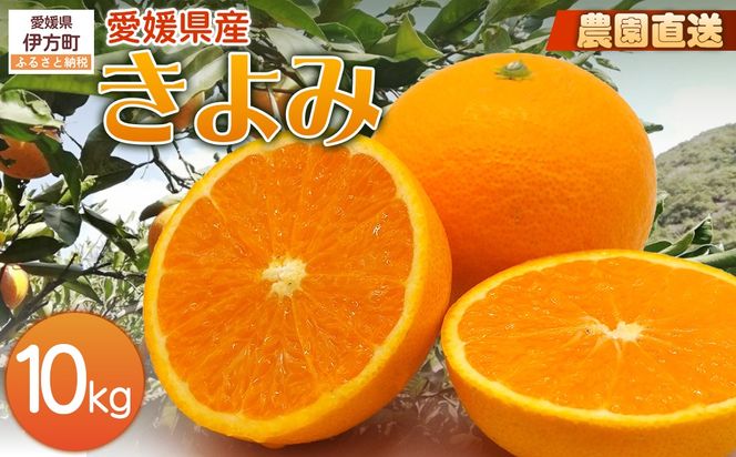 【栽培期間中農薬不使用】【先行受付】【数量限定】農園直送！愛媛県産 きよみ 10kg （2026年2月下旬頃より順次発送） IKTG022