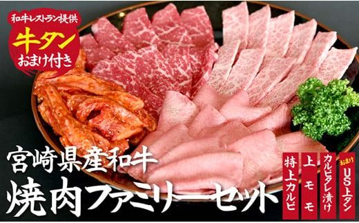 [BBQで大活躍!]宮崎県産和牛焼肉ファミリーセット 計800g(黒毛和牛 牛肉 お肉 タン モモ カルビ 焼肉 焼肉用)