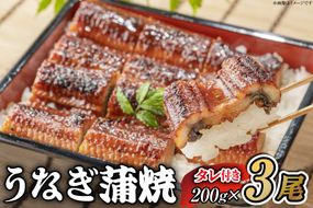 うなぎ うなぎ蒲焼 200g×3尾 タレ 山椒 セット [むらた商会 静岡県 吉田町 22424253] 鰻 ウナギ 蒲焼き たれ 惣菜 おかず 鰻重 うな丼 鰻丼 うなぎ料理 鰻料理 冷凍