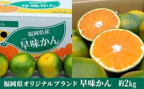 福岡限定 オリジナルブランド みかん「早味かん」約2kg【配送不可：離島】 果物類 柑橘類 フルーツ 