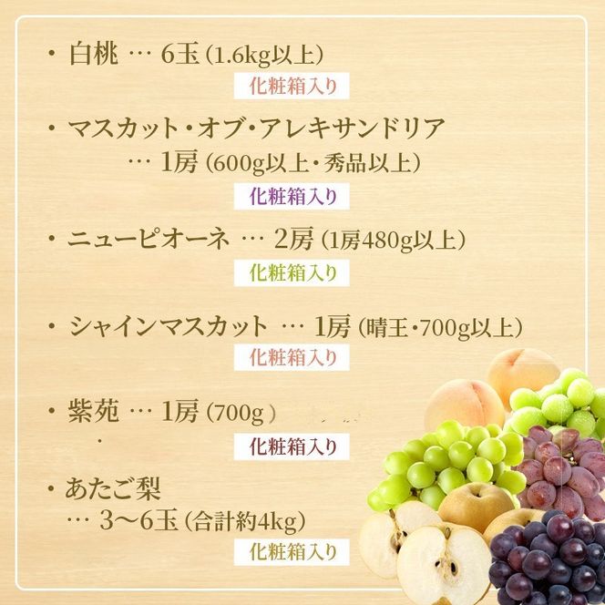 桃 ぶどう 梨 定期便 2026年 先行予約 晴れの国 岡山 の フルーツ 定期便 6回コース もも 葡萄 なし 岡山県産 国産 セット ギフト アレキサンドリ ニューピオーネ シャインマスカット 晴王 紫苑 