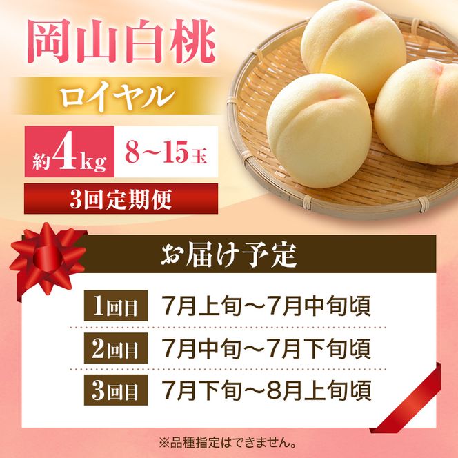 【2026年先行受付】 白桃 3回 定期便 特秀 ロイヤル 大玉 岡山県産 桃 もも モモ 御中元 ギフト 御礼 プレゼント 御礼 御祝 御供 果物 くだもの フルーツ