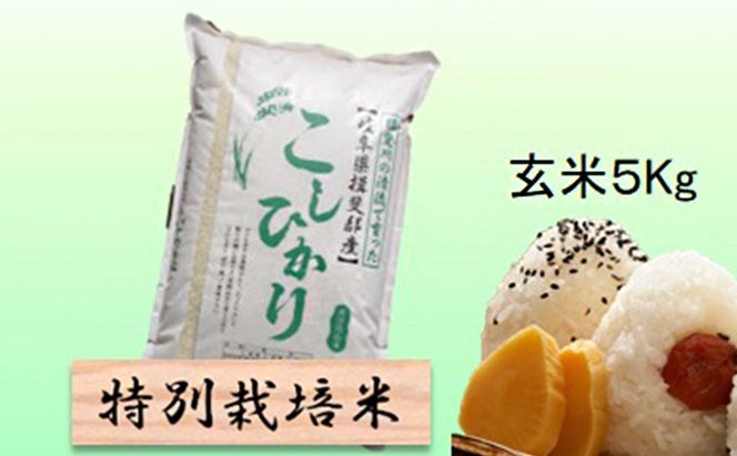 特別栽培米★玄米５kg 【コシヒカリ】 お米 ブランド米 銘柄米 ご飯 おにぎり バランスが良い お米の王様 
