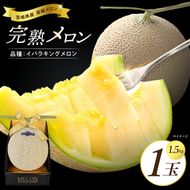 完熟 メロン イバラキング 1玉 │ 1.5kg フルーツ 産地直送 高級 贈答用 （CK001）