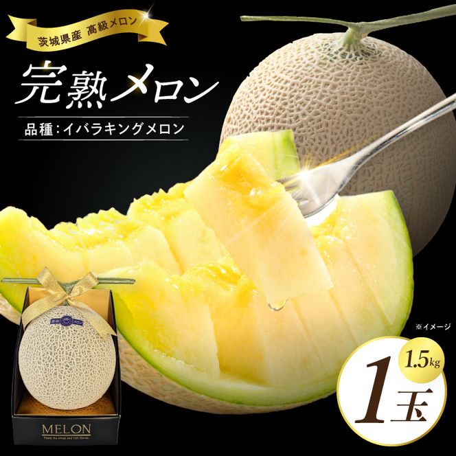 完熟 メロン イバラキング 1玉 │ 1.5kg フルーツ 産地直送 高級 贈答用 （CK001）