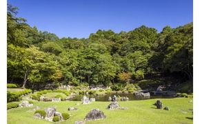 K009 常栄寺庭園保存整備事業
