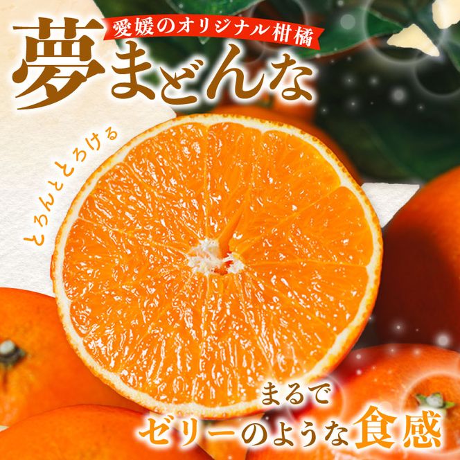 【訳あり】みかん職人の夢まどんな 小玉 5kg 柑橘 果物 フルーツ 愛媛 みかん職人武田屋 蜜柑 愛果28号 愛媛果試第28号 まどんな 大小ミックスサイズ 糖度 センサー 計測 規準 甘い 甘さ らんきんぐ みかん かんきつ 柑橘 冬 旬 食べごろ 農家 農家直送 農園 人気 みかん職人 武田屋 産直 みかん職人武田屋 愛媛県 愛南町
