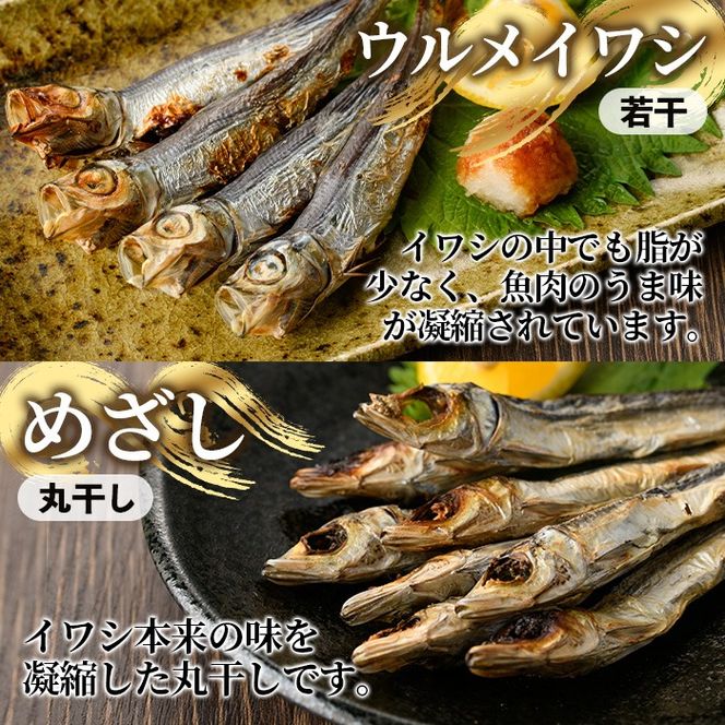 数量限定！イワシ丸干し3点セット(合計100尾以上) 国産 鹿児島県産 阿久根市産 魚 魚介 水産 いわし 鰯 ウルメイワシ うるめいわし めざし マイワシ まいわし 食べ比べ セット 詰め合わせ【鈴木海産】akn091-01