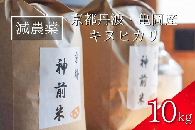 【令和7年産】新米 先行予約 10kg 京都・神前米 キヌヒカリ ☆精米したてをお届け ※2025年9月下旬以降順次発送 ≪減農薬 自家栽培米 生産農家 直送 白米 米 精米 クリーン白米≫