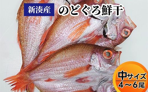 【新湊産】のどぐろ鮮干し（中サイズ４/６尾）