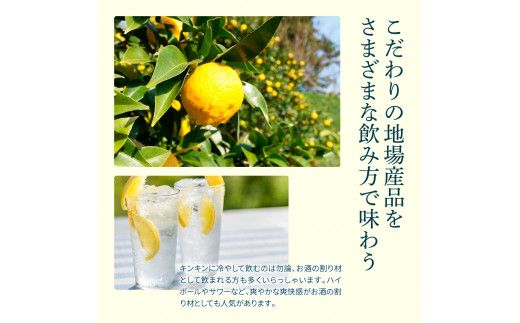 【CF-R7hbk】SKS052　土佐山ゆずスカッシュ12本セット スカッシュ ゆず 柚子 ジュース 飲み物 セット お歳暮 御歳暮 ギフト ドリンク 炭酸飲料 柑橘 割り材 お取り寄せ 美味しい おいしい 贈り物 贈答 故郷納税 19000円 ふるさとのうぜい 高知県 芸西村 返礼品