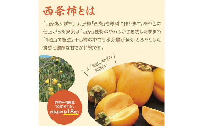 西条あんぽ柿【鳥取いなば農業協同組合】 312011_CR005