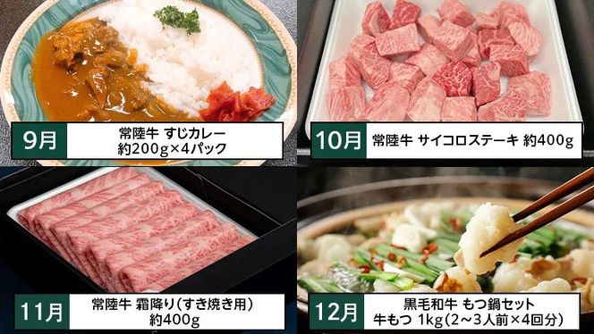 【茨城県共通返礼品】【定期便】 【12回コース】  常陸牛 贅沢 満喫 定期便（12ヶ月連続でお届け） 牛肉 黒毛和牛 国産 切り落とし すき焼き 焼肉 赤身 霜降り ステーキ ハンバーグ ローストビーフ [AU032ya]
