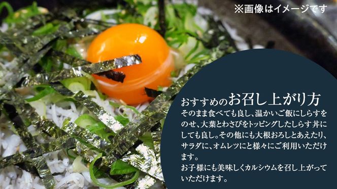 大津港水揚げの 釜揚げしらす 500g 1kg 1.5kg 【 小分け 選べる 内容量 】 (茨城県共通返礼品：北茨城市) しらす しらす丼 国内 釜揚げ 新鮮 シラス 海鮮 子ども カルシウム 減塩 [CY005us00]