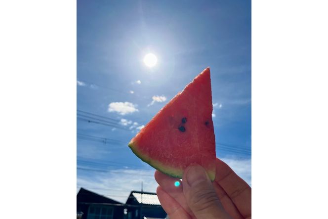 【先行予約】京丹後・俵野産 小玉スイカ 姫甘泉 1玉（2026年7月中旬～発送） IU00002