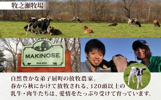 3139. 牧之瀬牧場 自家製 アイスクリーム ミルク 90ml 12個 オリジナル アイス 生乳 牛乳 乳 みるく 牧場 手作り セット おやつ デザート スイーツ 冷凍 送料無料 北海道 弟子屈町